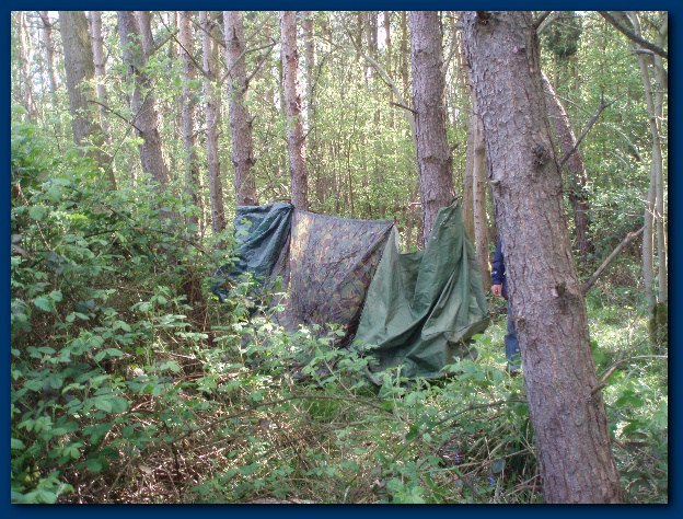 600x449 pixels (210K)